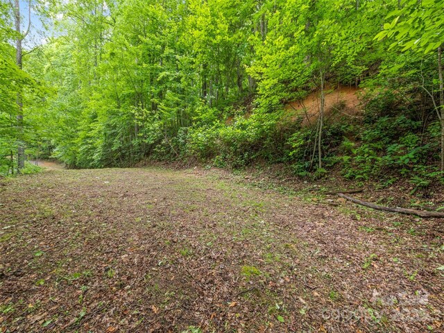 13 Galega Trl Unit D, Maggie Valley, NC 28751 - photo 10