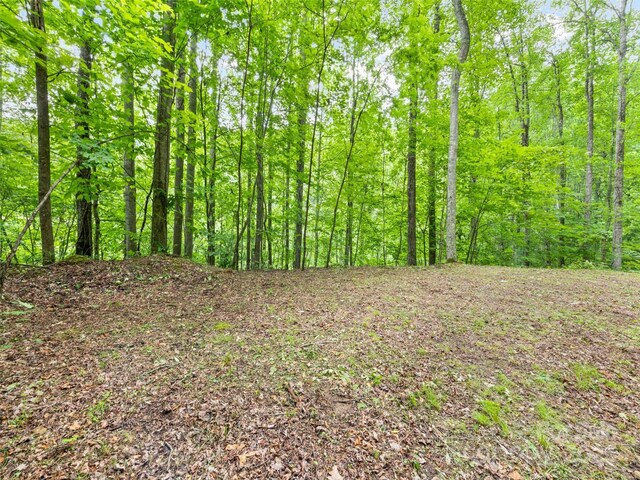 13 Galega Trl Unit D, Maggie Valley, NC 28751 - photo 11