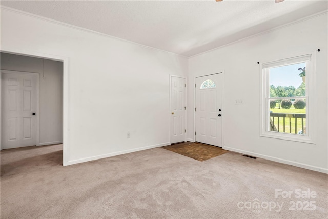814 Carved Oak Ct, York, SC 29745 - entryway with crown molding and carpet