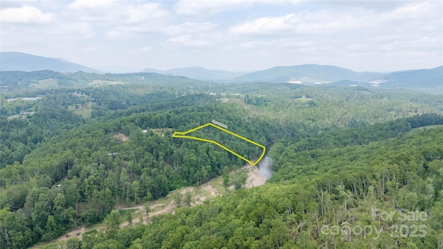 000 Vaughn Rd, Spruce Pine, NC 28777