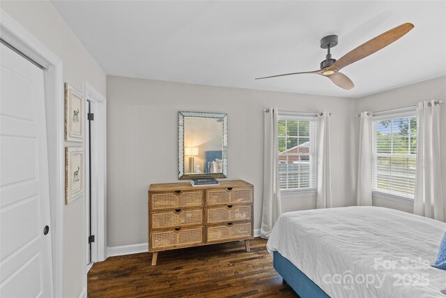 5501 Murrayhill Rd, Charlotte, NC 28210 - bedroom with dark wood-style floors, multiple windows, and a ceiling fan
