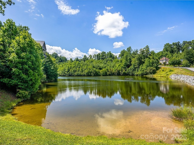 20 Narrows Run Loop, Hendersonville, NC 28791 - photo 47