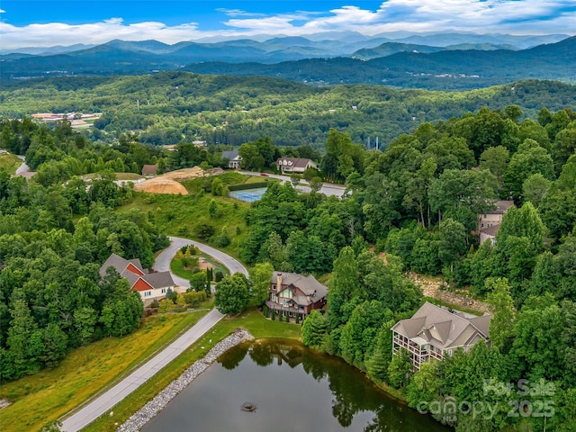 20 Narrows Run Loop, Hendersonville, NC 28791 - photo 48