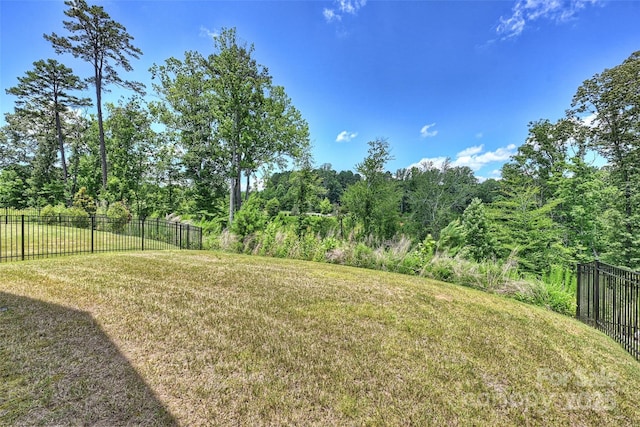 336 Secretariat Dr, Iron Station, NC 28080 - photo 29