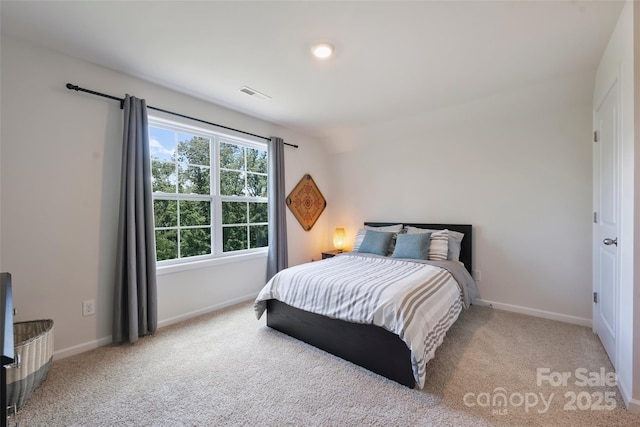 336 Secretariat Dr, Iron Station, NC 28080 - photo 26