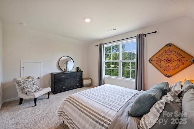 336 Secretariat Dr, Iron Station, NC 28080 - photo 27