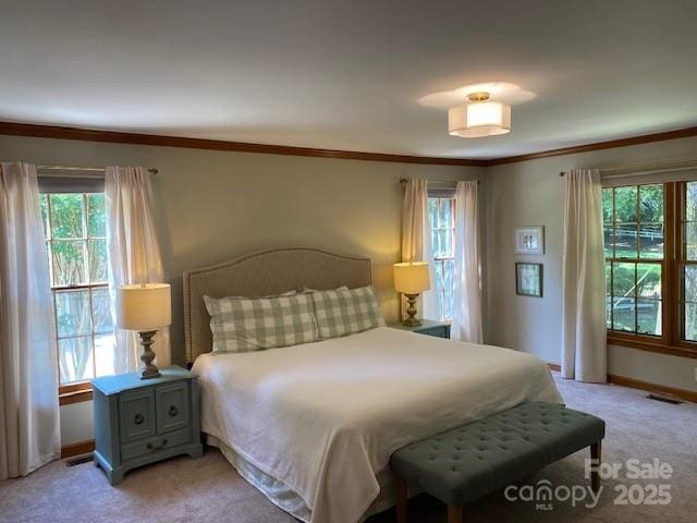 6632 Summer Darby Ln, Charlotte, NC 28270 - bedroom featuring light colored carpet and crown molding