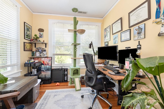 206 Mitchell Ave, Salisbury, NC 28144 - office space featuring crown molding and wood finished floors