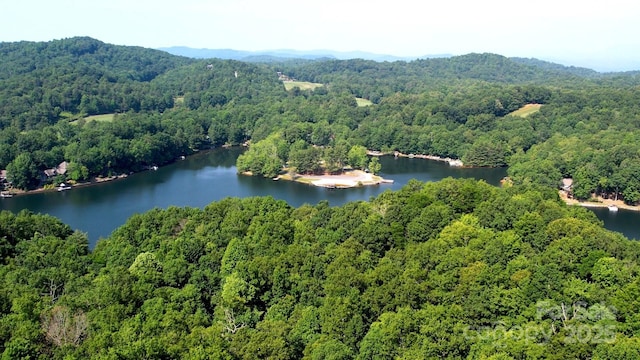 2760 Ugugu Dr, Brevard, NC 28712 - photo 14