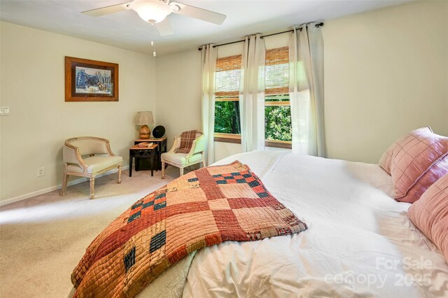 2760 Ugugu Dr, Brevard, NC 28712 - photo 19