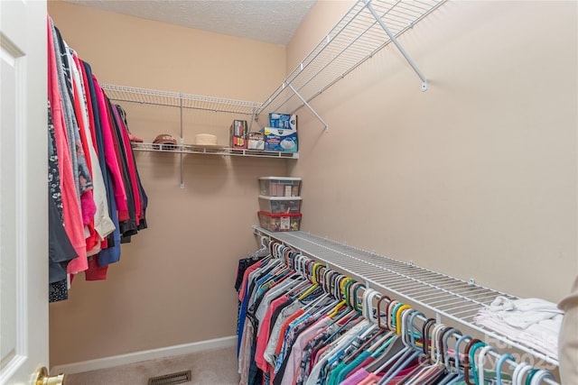 190 Shaws Creek Farm Rd, Hendersonville, NC 28739 - spacious closet featuring carpet flooring