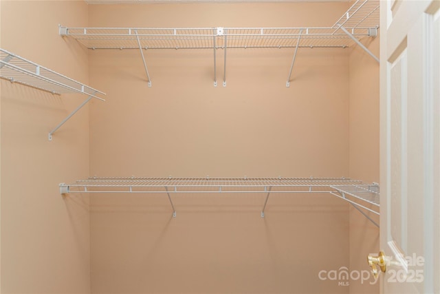 190 Shaws Creek Farm Rd, Hendersonville, NC 28739 - view of spacious closet
