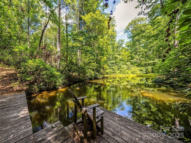 247 Big Raven Ln, Saluda, NC 28773 - photo 38