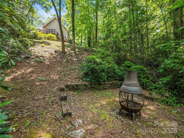 247 Big Raven Ln, Saluda, NC 28773 - photo 41