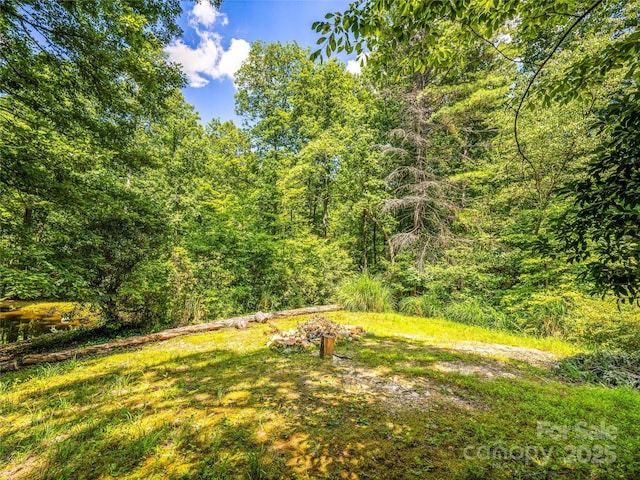 247 Big Raven Ln, Saluda, NC 28773 - photo 42