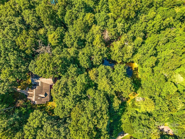 247 Big Raven Ln, Saluda, NC 28773 - photo 46