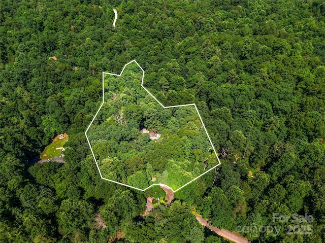 247 Big Raven Ln, Saluda, NC 28773 - photo 47