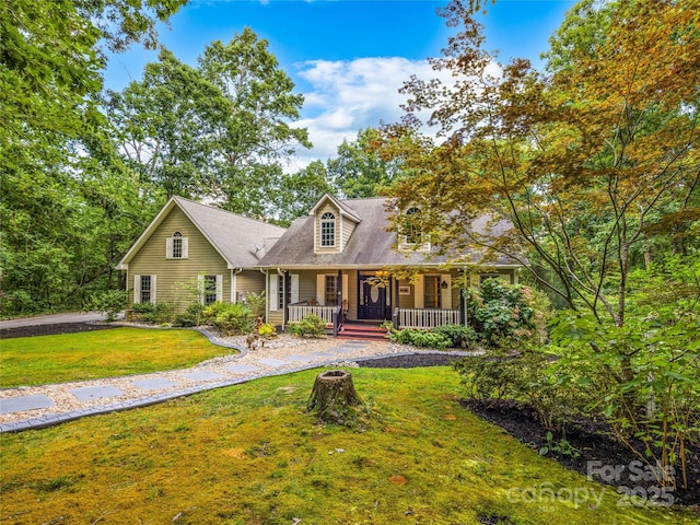 247 Big Raven Ln, Saluda, NC 28773 - photo 48