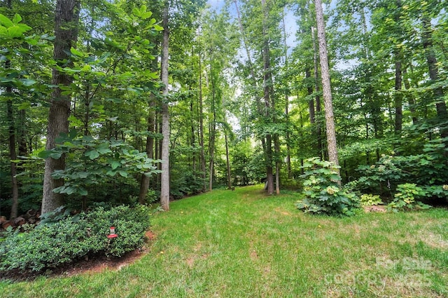 8214 Aspen Ct, Mint Hill, NC 28227 - photo 37