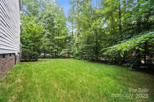 8214 Aspen Ct, Mint Hill, NC 28227 - photo 39
