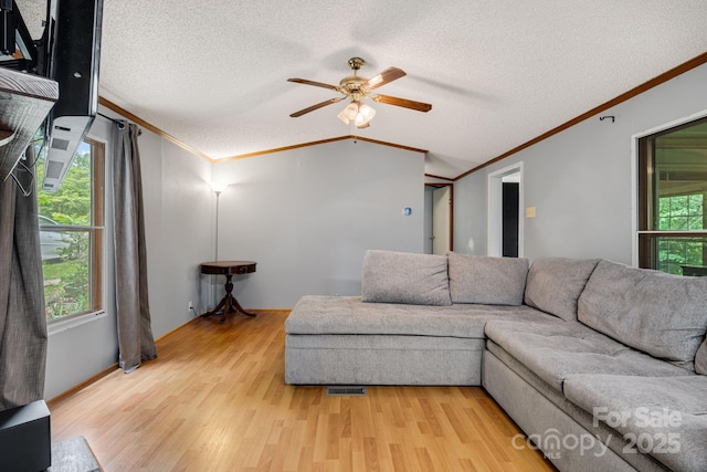 6 Kims Ct, Clyde, NC 28721 - living room with ornamental molding, light wood finished floors, a ceiling fan, a textured ceiling, and vaulted ceiling