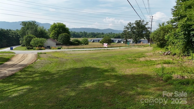455 Cane Creek Rd, Fletcher, NC 28732 - view of yard featuring a mountain view