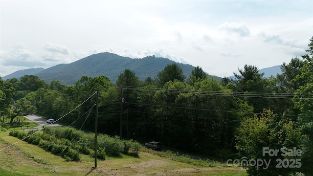 455 Cane Creek Rd, Fletcher, NC 28732 - view of mountain backdrop