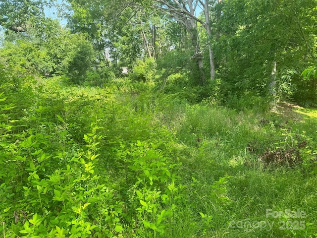 455 Cane Creek Rd, Fletcher, NC 28732 - view of local wilderness