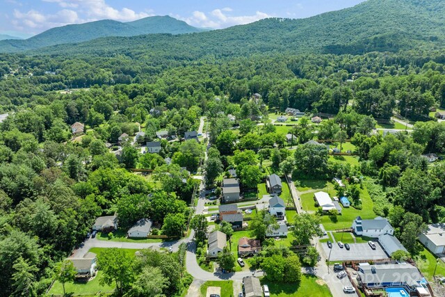19 Busbee View Rd, Asheville, NC 28803 - photo 21