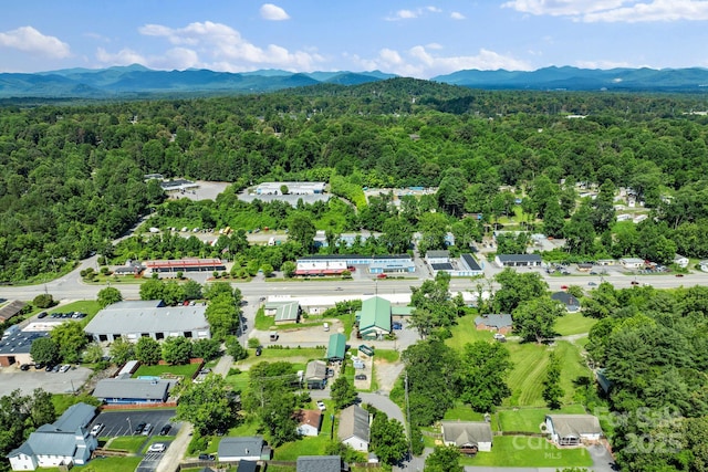 19 Busbee View Rd, Asheville, NC 28803 - photo 23