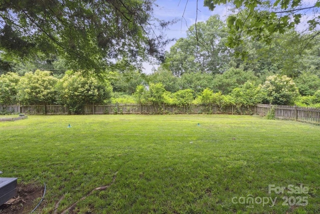 9954 Mitchell Glen Dr, Charlotte, NC 28277 - view of fenced backyard