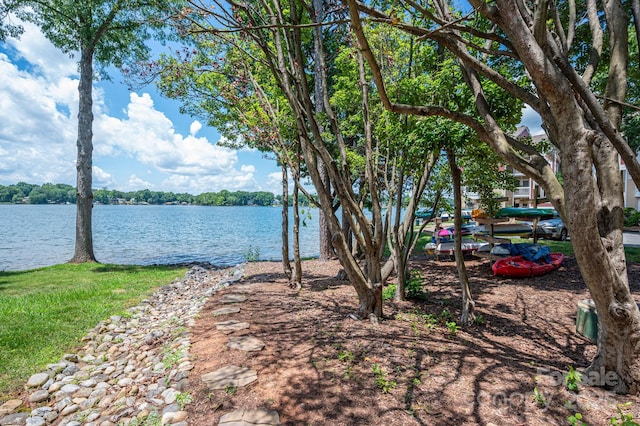 1018 SW Dr SW Unit 18, Davidson, NC 28036 - water view