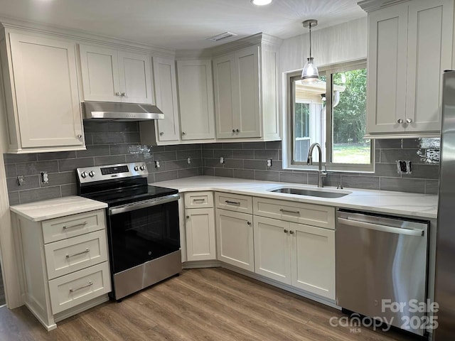 2705 Lowell Bethesda Rd, Gastonia, NC 28056 - kitchen with stainless steel appliances, under cabinet range hood, tasteful backsplash, and wood finished floors