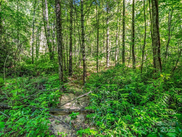 TBD Climbing Rd, Hendersonville, NC 28792