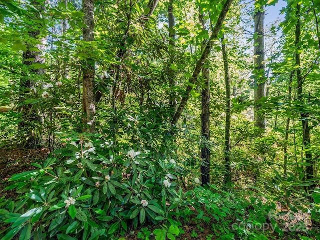 TBD Climbing Rd, Hendersonville, NC 28792
