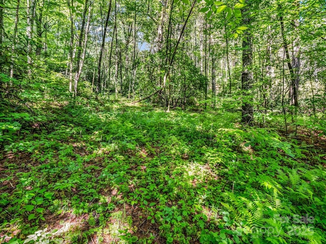 TBD Climbing Rd, Hendersonville, NC 28792