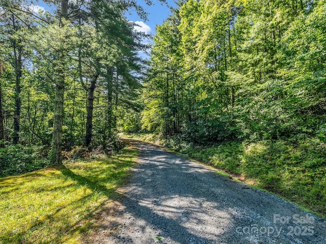 TBD Climbing Rd, Hendersonville, NC 28792