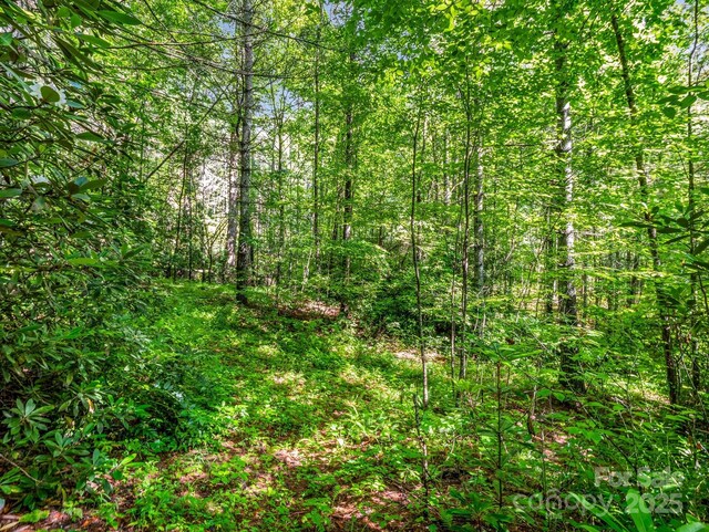 TBD Climbing Rd, Hendersonville, NC 28792