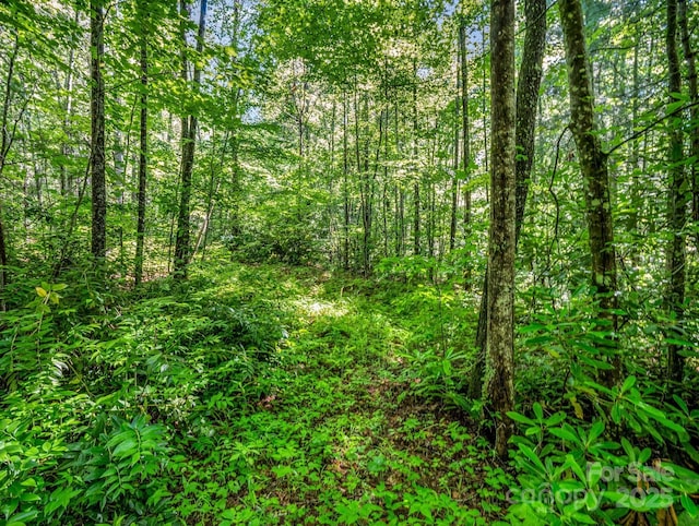 TBD Climbing Rd, Hendersonville, NC 28792