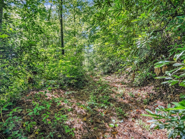 TBD Climbing Rd, Hendersonville, NC 28792