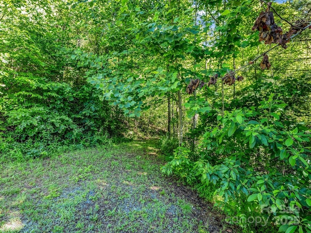 TBD Climbing Rd, Hendersonville, NC 28792
