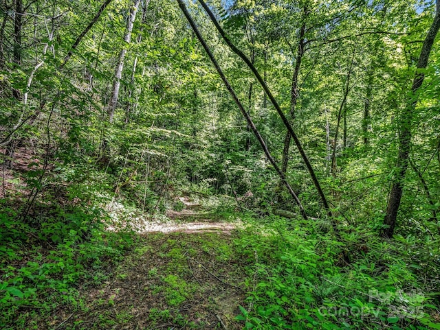 TBD Climbing Rd, Hendersonville, NC 28792