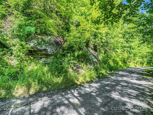 TBD Climbing Rd, Hendersonville, NC 28792