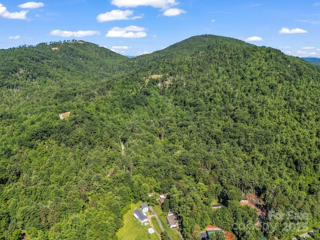 TBD Climbing Rd, Hendersonville, NC 28792