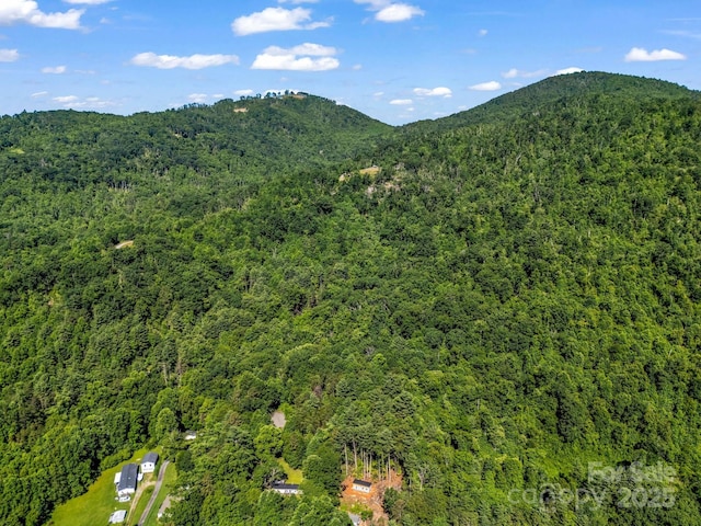 TBD Climbing Rd, Hendersonville, NC 28792