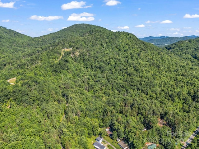 TBD Climbing Rd, Hendersonville, NC 28792