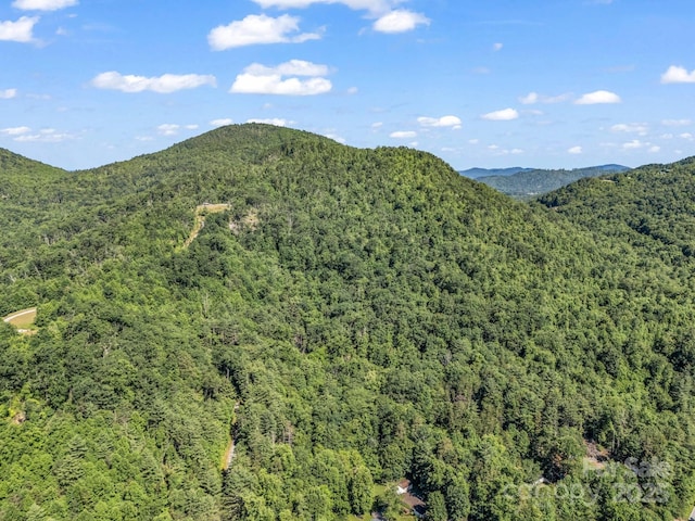 TBD Climbing Rd, Hendersonville, NC 28792