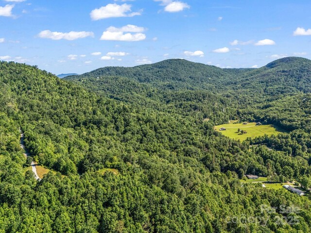 TBD Climbing Rd, Hendersonville, NC 28792