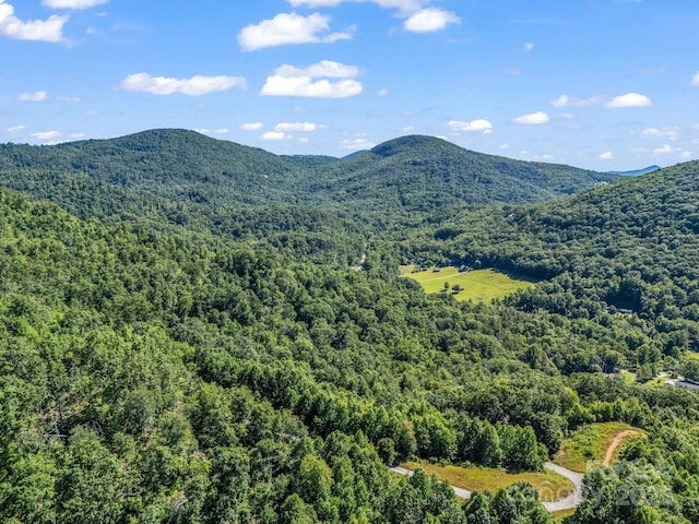 TBD Climbing Rd, Hendersonville, NC 28792