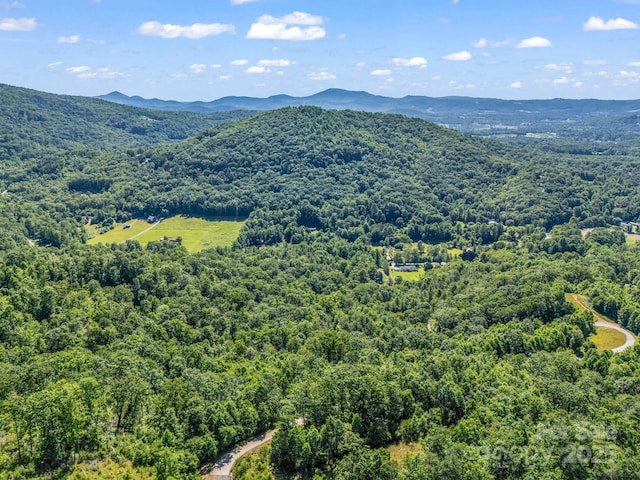 TBD Climbing Rd, Hendersonville, NC 28792